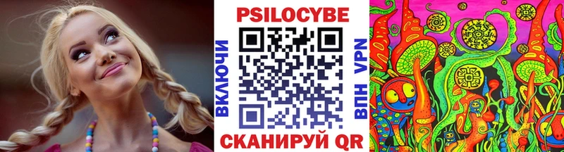 Псилоцибиновые грибы мицелий  где можно купить   Севск 